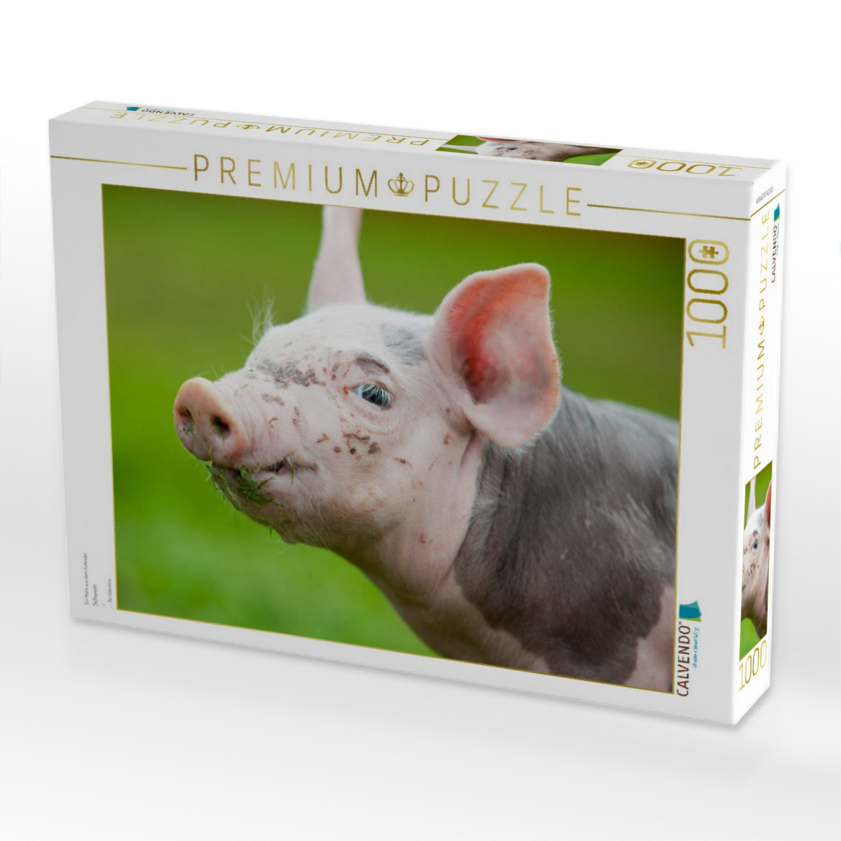 Schwein