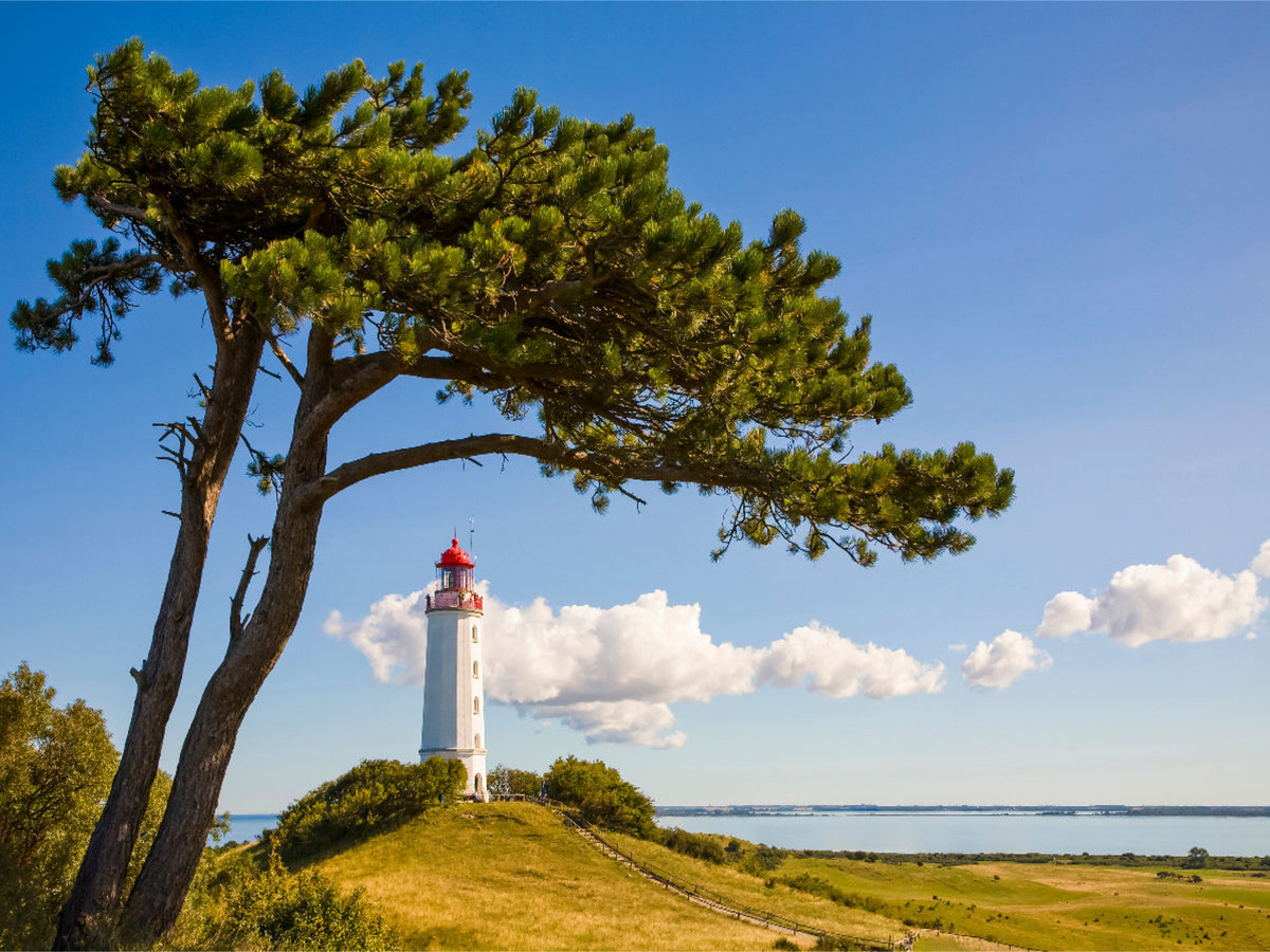 Leuchtturm Dornbusch auf der Insel Hiddensee