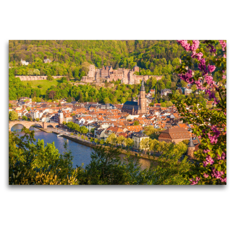 Die Altstadt und das Schloss in Heidelberg im Frühling