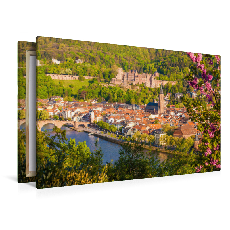 Die Altstadt und das Schloss in Heidelberg im Frühling