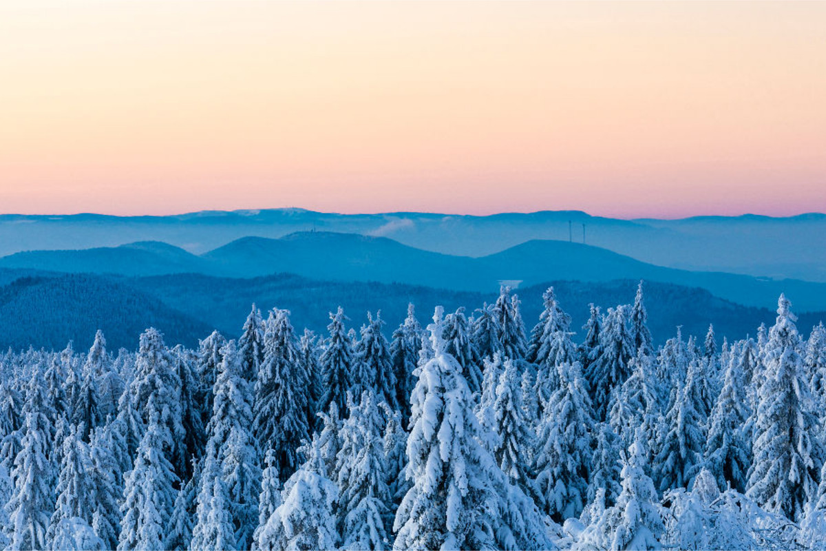 Blick vom Schliffkopf im Nationalpark Schwarzwald