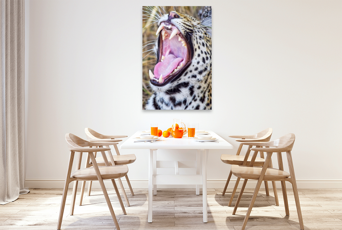 Gepard