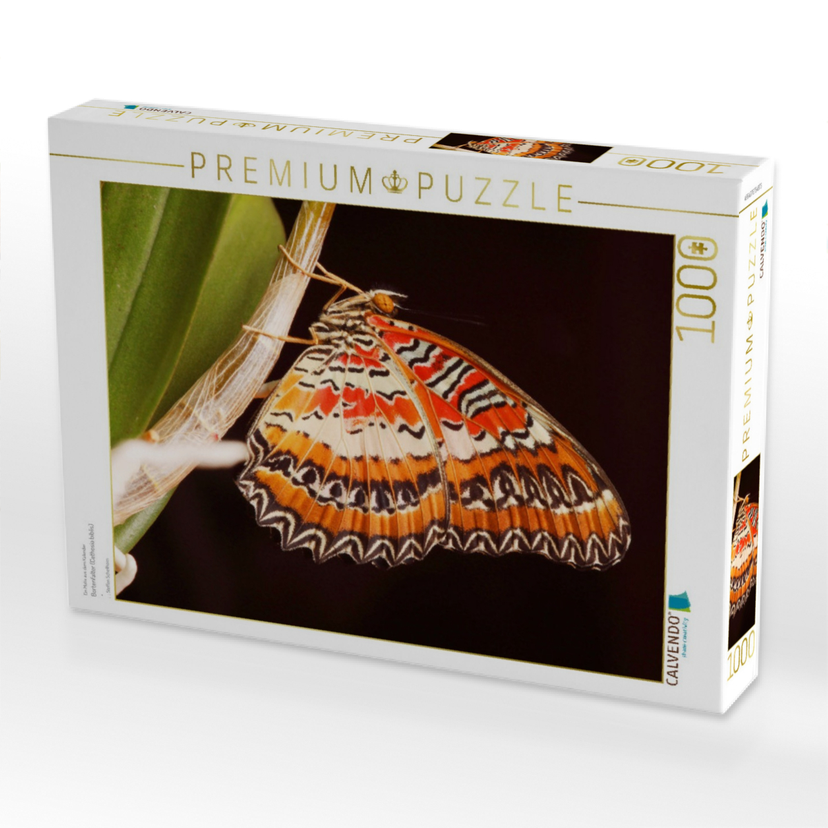 Bortenfalter (Cethosia biblis)