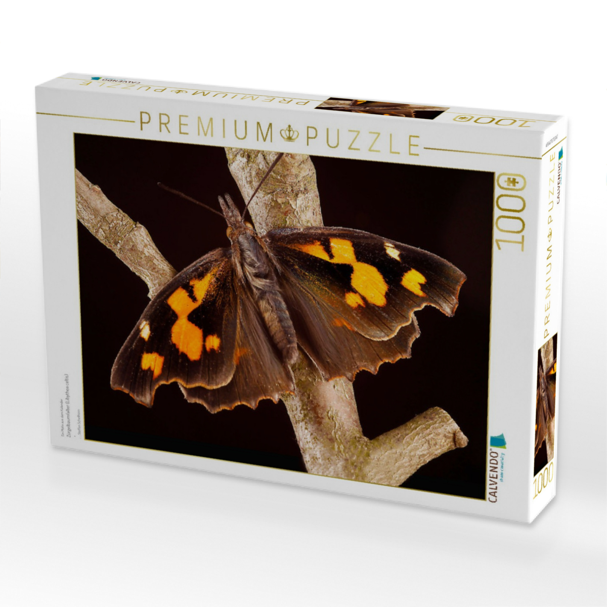 Zürgelbaumfalter (Libythea celtis)