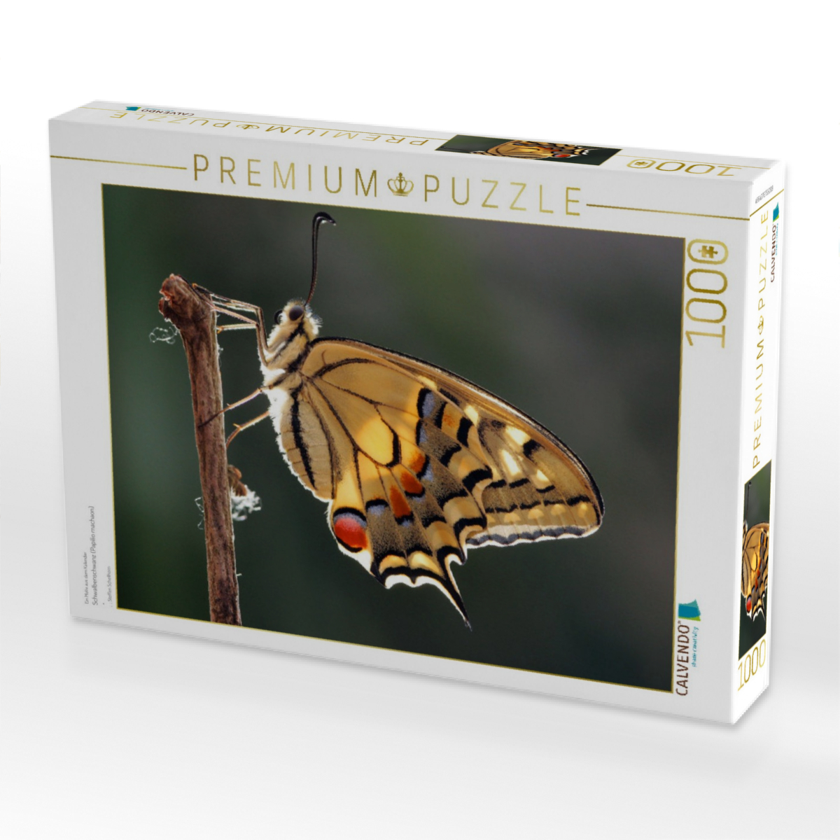 Schwalbenschwanz (Papilio machaon)