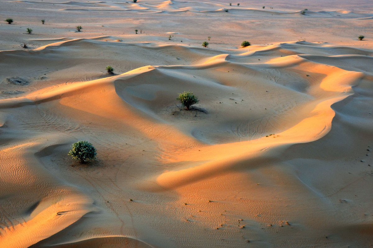 Blick von einer Fahrt mit dem Heißluftballon auf die Sanddünen der Wüste 'Rub al-Khali' im Süden von Dubai