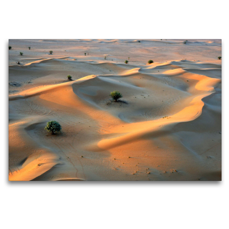 Blick von einer Fahrt mit dem Heißluftballon auf die Sanddünen der Wüste 'Rub al-Khali' im Süden von Dubai