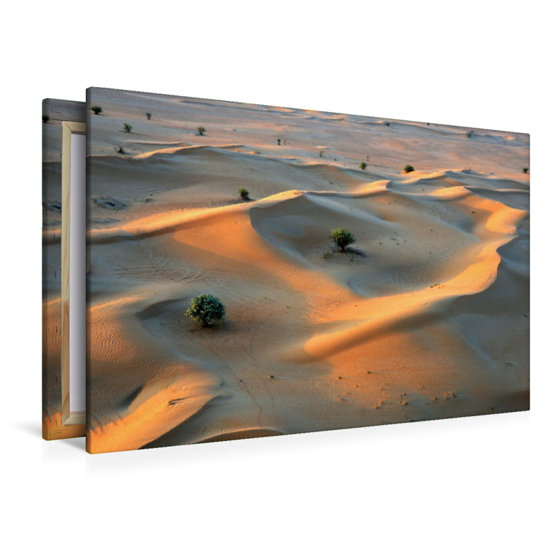 Blick von einer Fahrt mit dem Heißluftballon auf die Sanddünen der Wüste 'Rub al-Khali' im Süden von Dubai