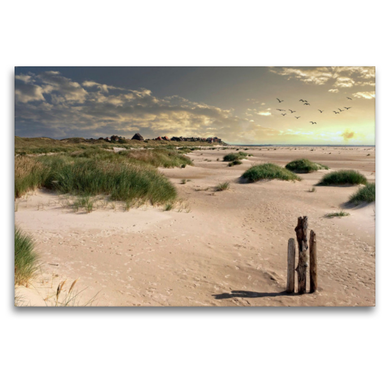 Amrum