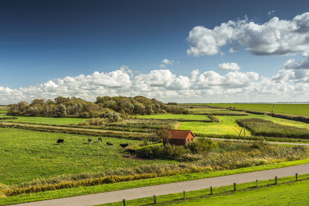 Halbinsel Nordstrand