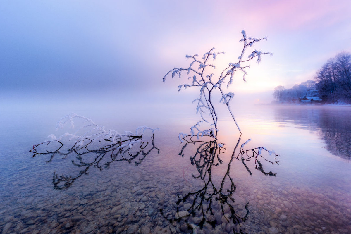 Ein Wintermorgen am Starnberger See