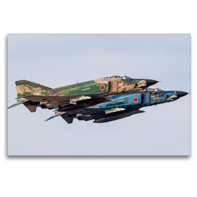 McDonnell Douglas RF-4EJ Phantom II, 501st Tactical Reconnaissance Squadron