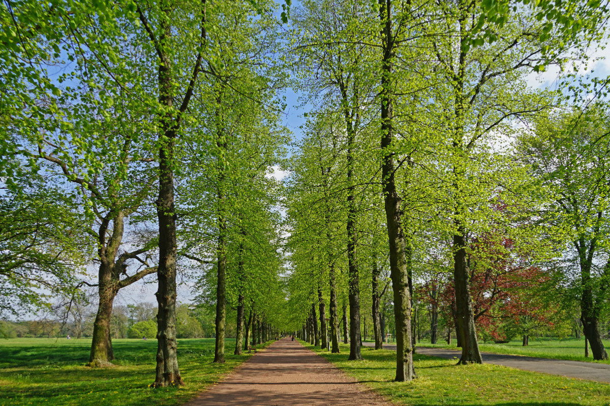 Frühling im Rothehornpark in Magdeburg