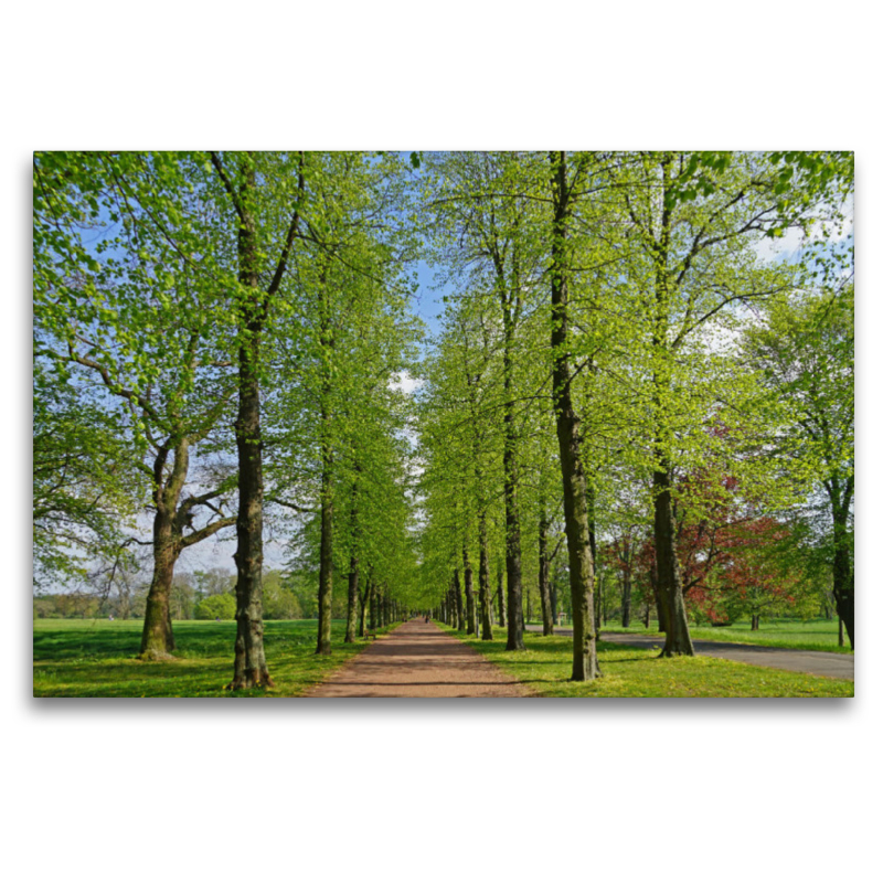 Frühling im Rothehornpark in Magdeburg