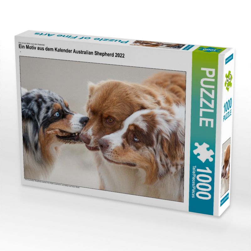 Ein Motiv aus dem Kalender Australian Shepherd 2022