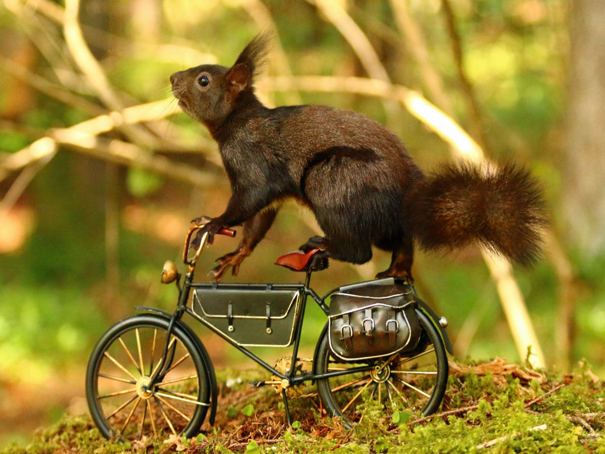 Die erste Radtour