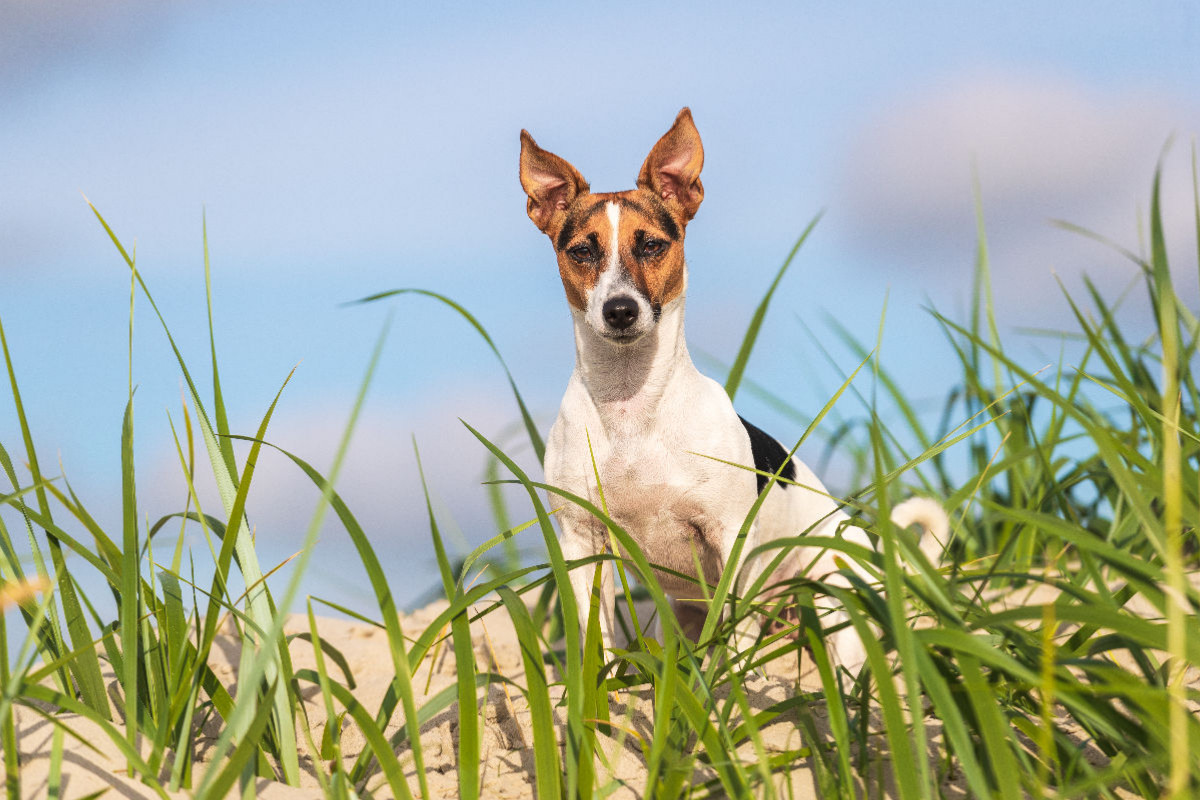 Strandportrait