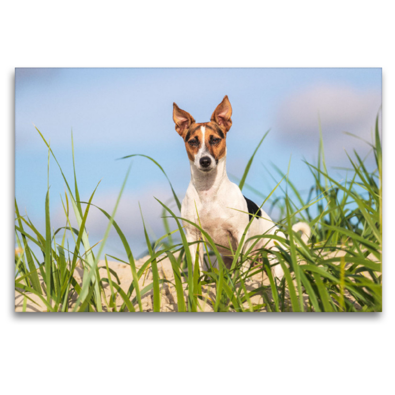 Strandportrait