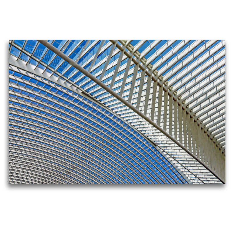 Der Bahnhof Liège-Guillemins (Dachkonstruktion)