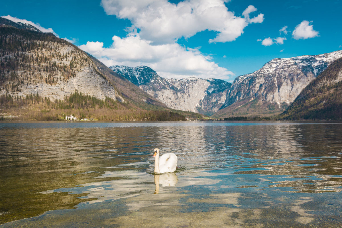 Blick nach Obertraun