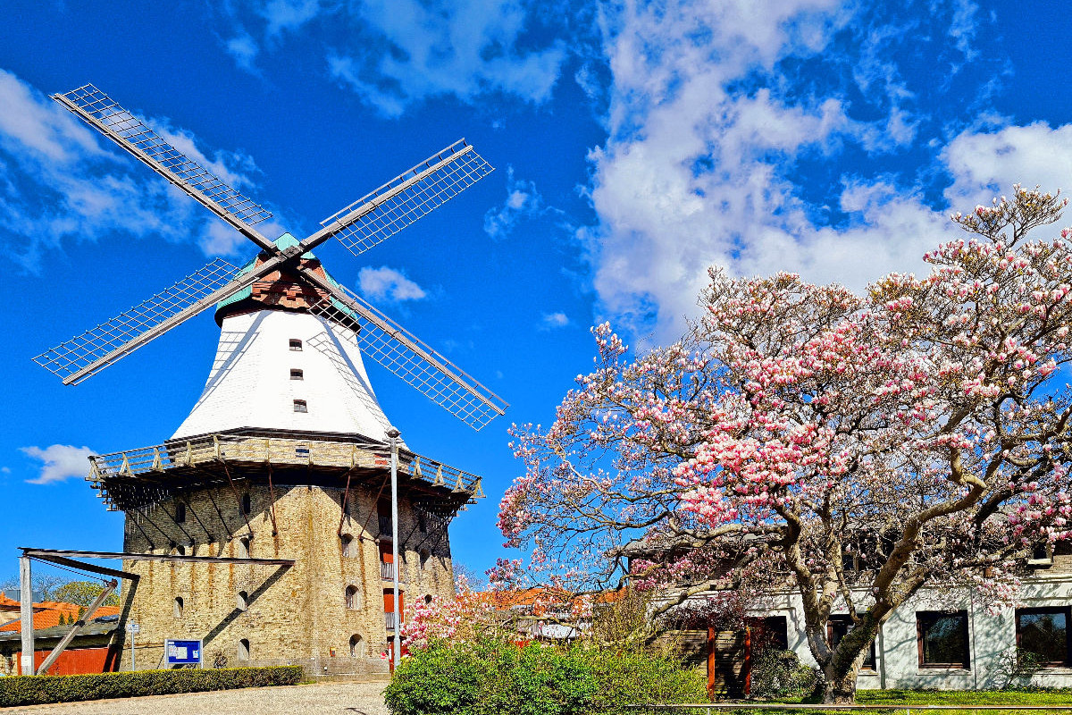 Mühle Amanda in Kappeln