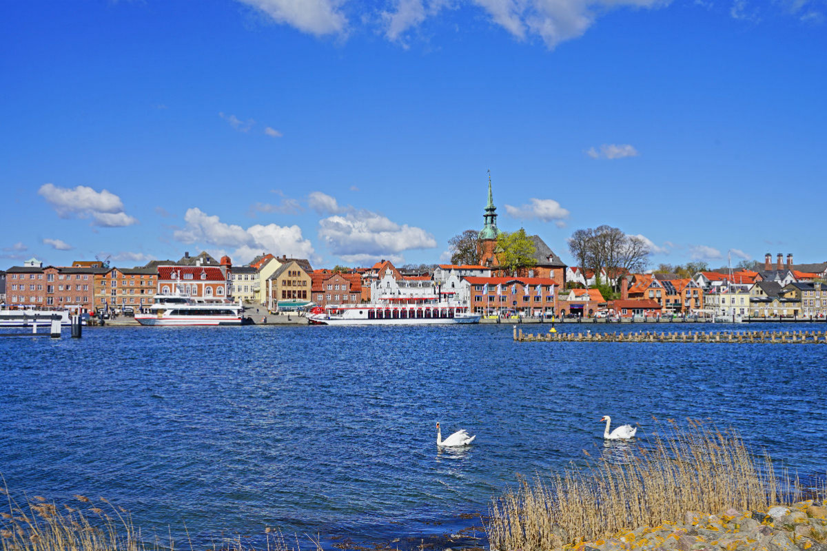 Hafen in Kappeln mit Heringszäunen und Schwänen