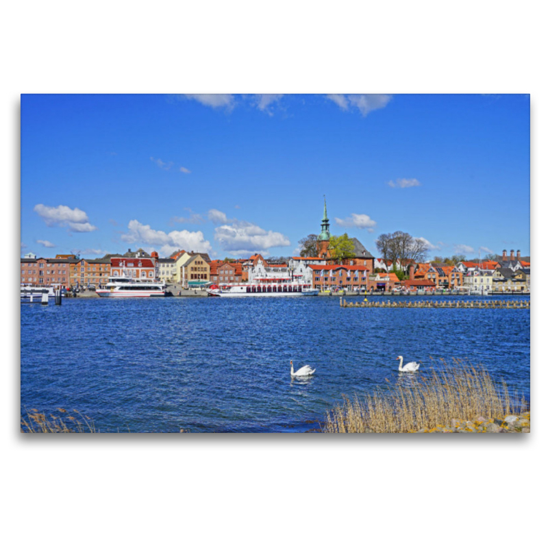 Hafen in Kappeln mit Heringszäunen und Schwänen