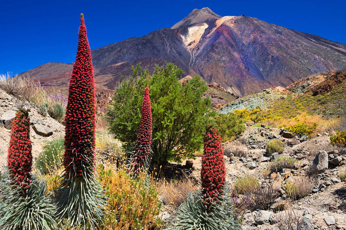 Teide Teneriffa