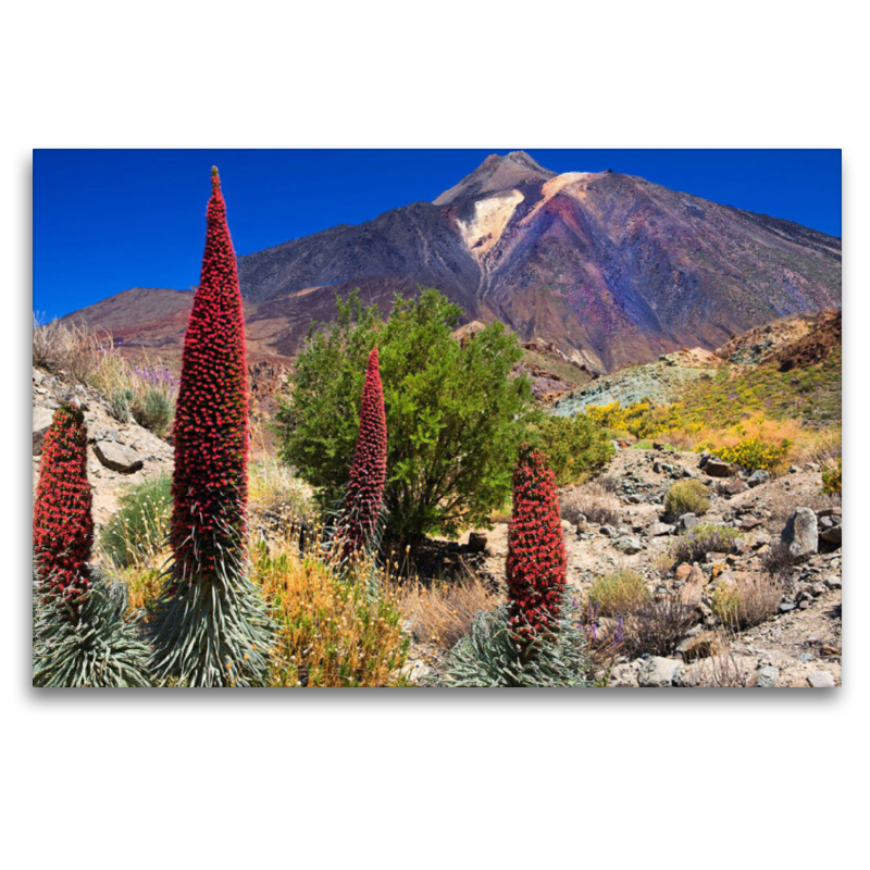 Teide Teneriffa