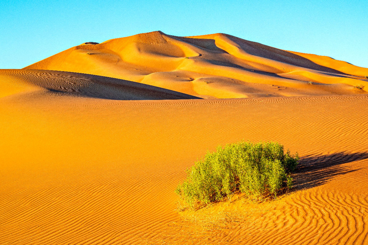 Oman - Rub al-Chali