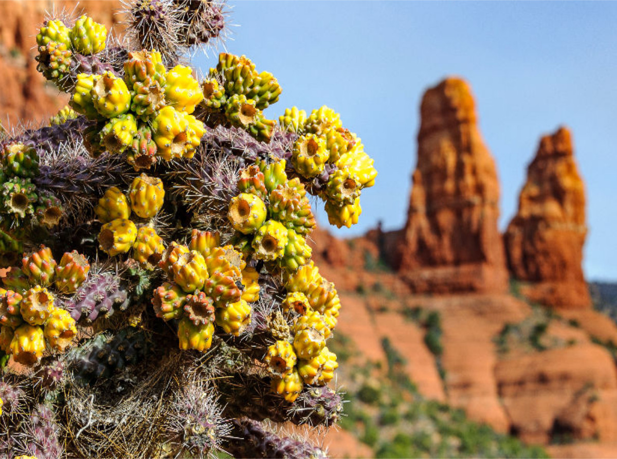 Chapel Trail, Sedona