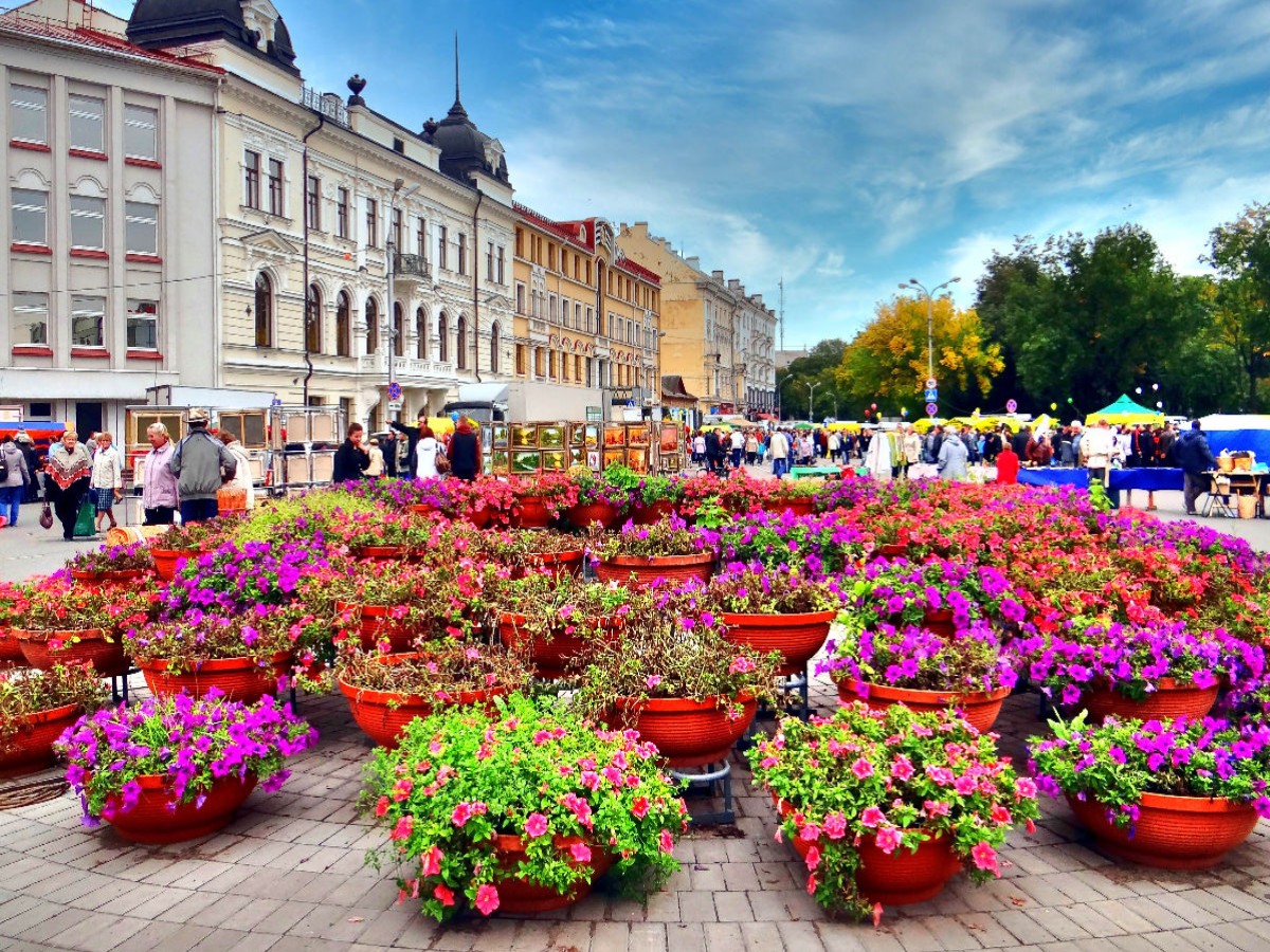 Herbstliche Blumenpracht im Zentrum von Pskow/Pleskau