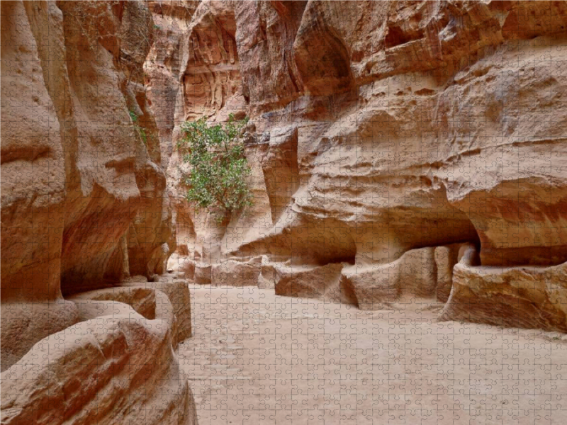 Canyon Al Siq