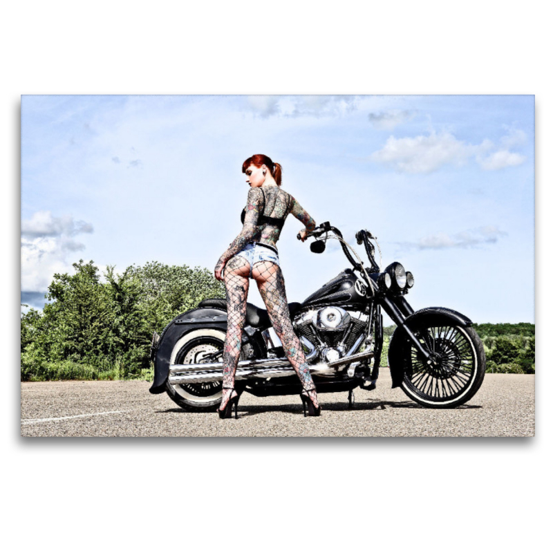 FLSTN Softail Deluxe Bj.05 mit Wildcat_Ink Outdoor