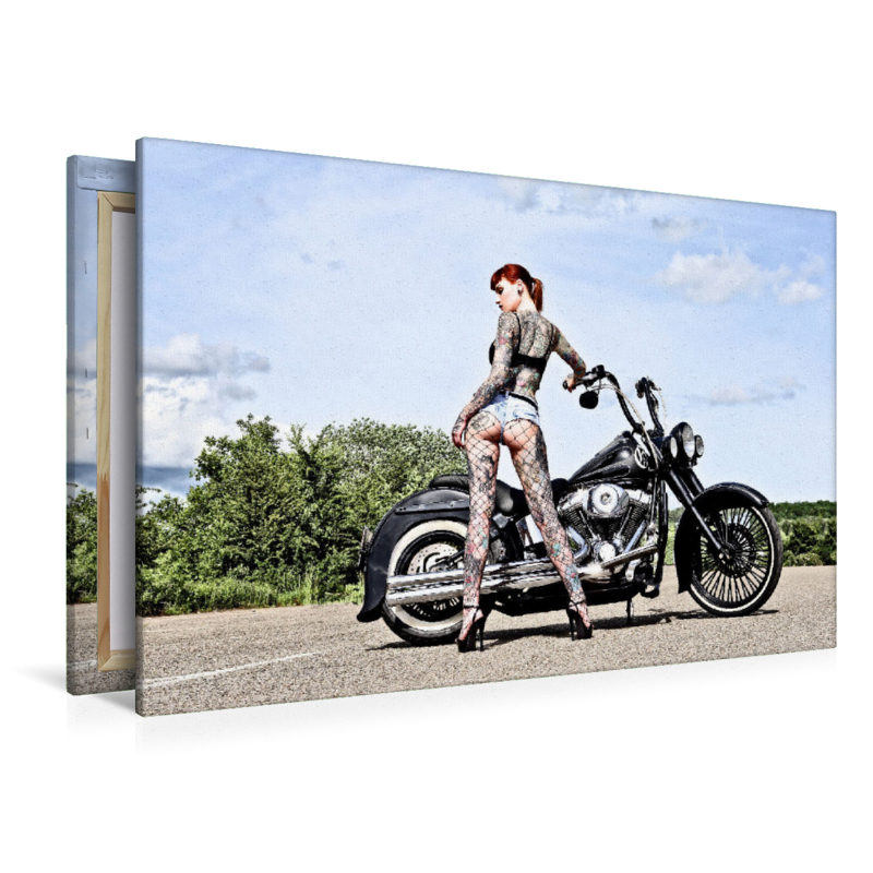 FLSTN Softail Deluxe Bj.05 mit Wildcat_Ink Outdoor