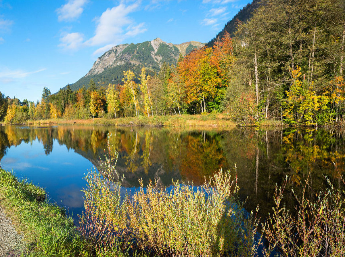 Moorweiher Oberstdorf