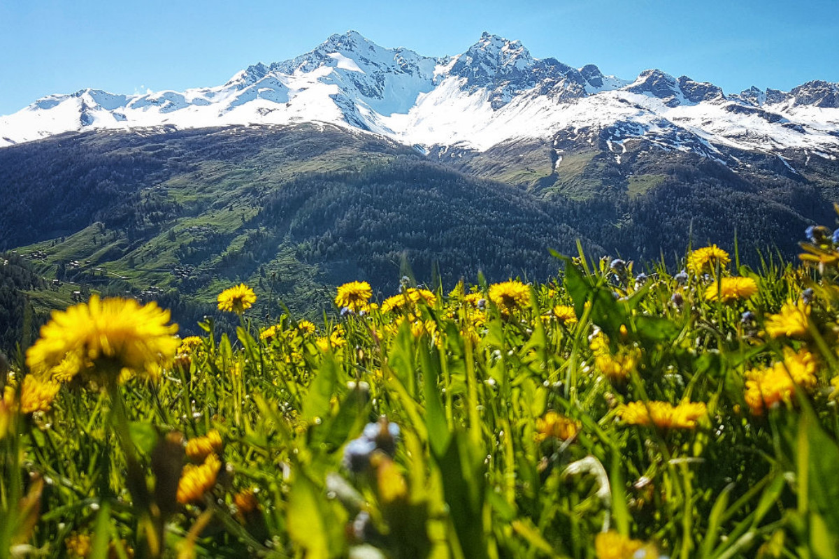 St . Moritz, Schweiz