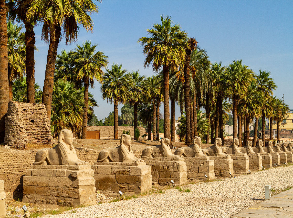 Sphinxen Allee in Luxor