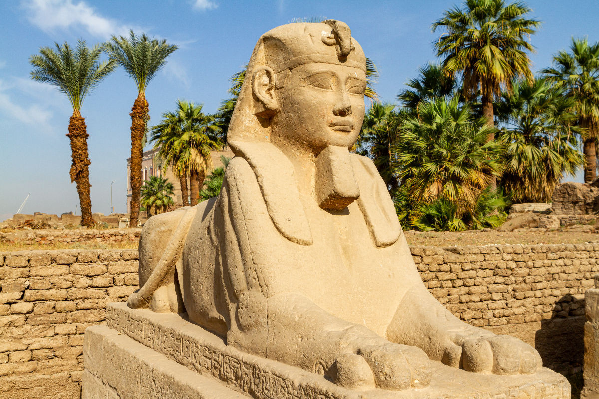 Sphinx von Luxor