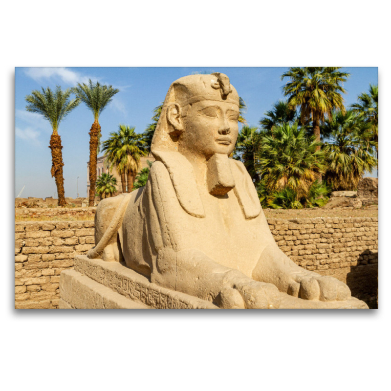 Sphinx von Luxor