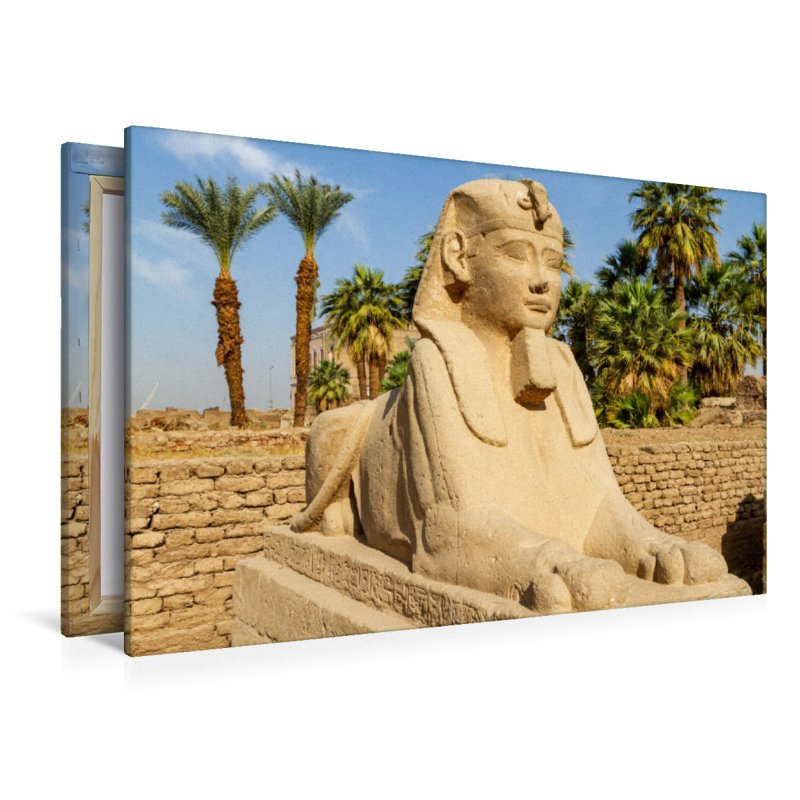 Sphinx von Luxor