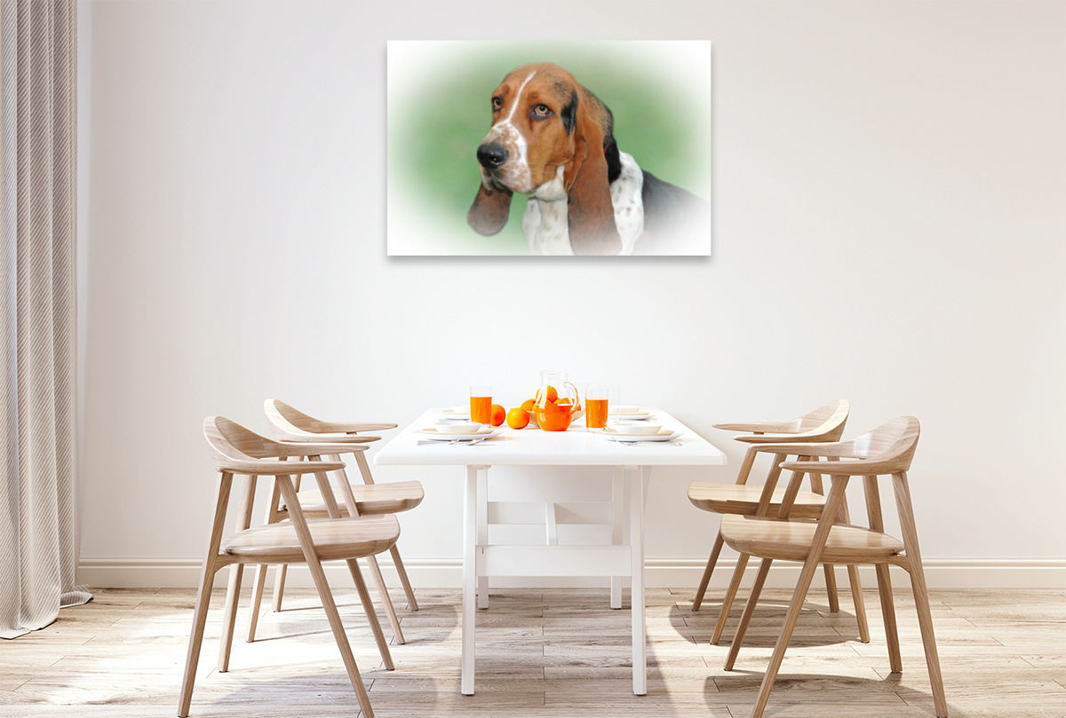 Basset