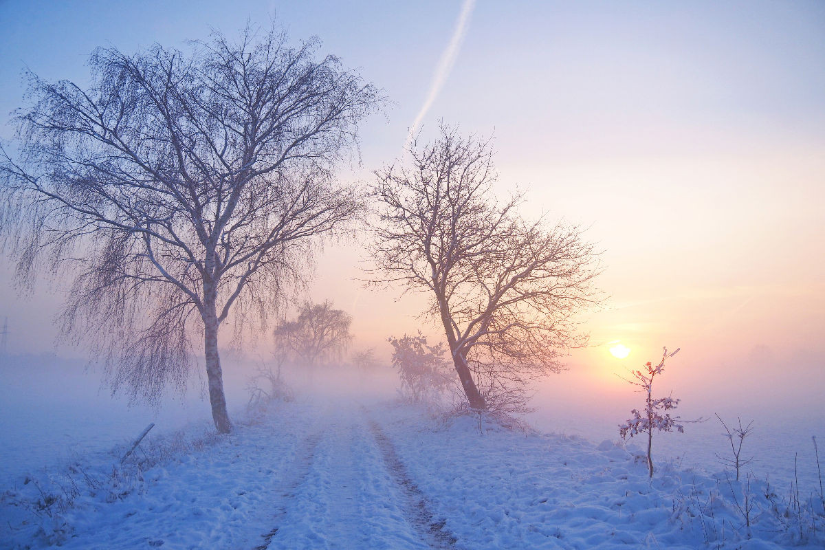 Winterlicher Sonnenuntergang im Nebel