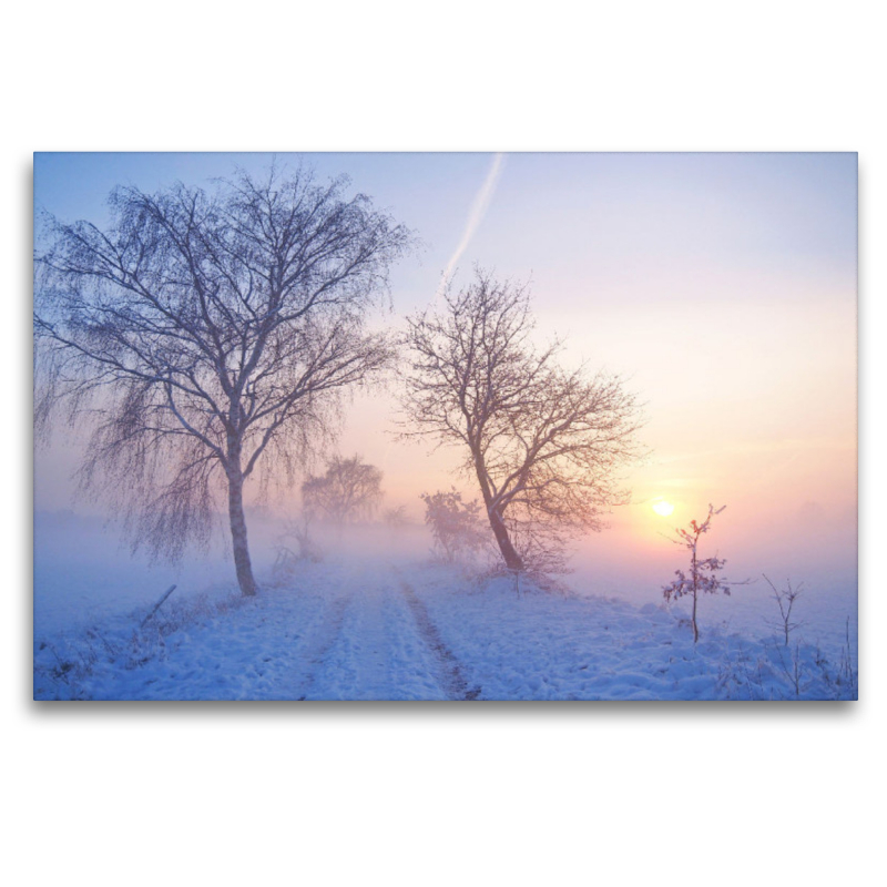 Winterlicher Sonnenuntergang im Nebel