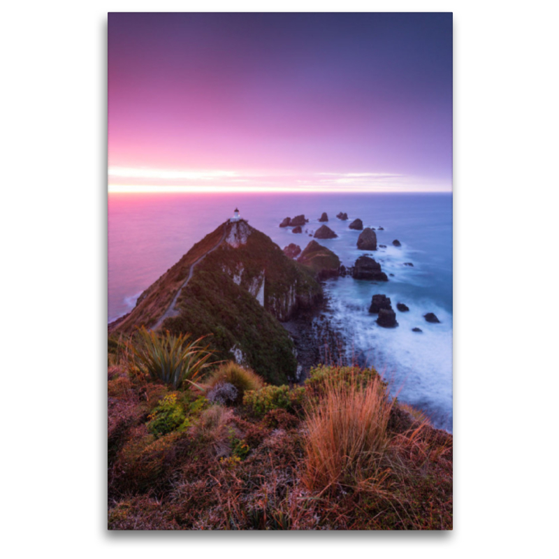 Nugget point - Neuseeland