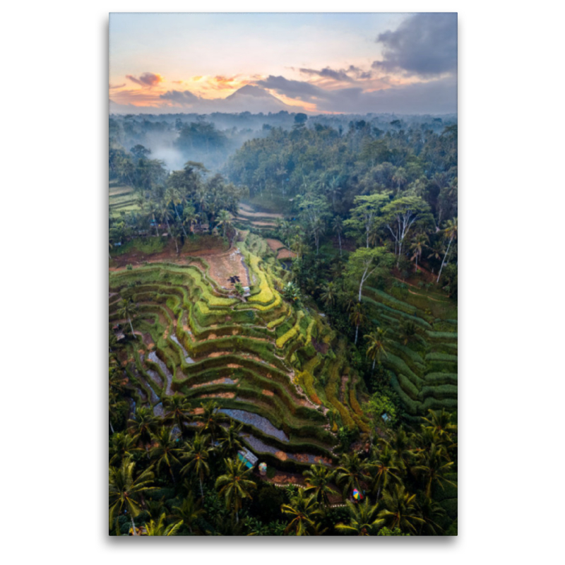 Ubud - Bali