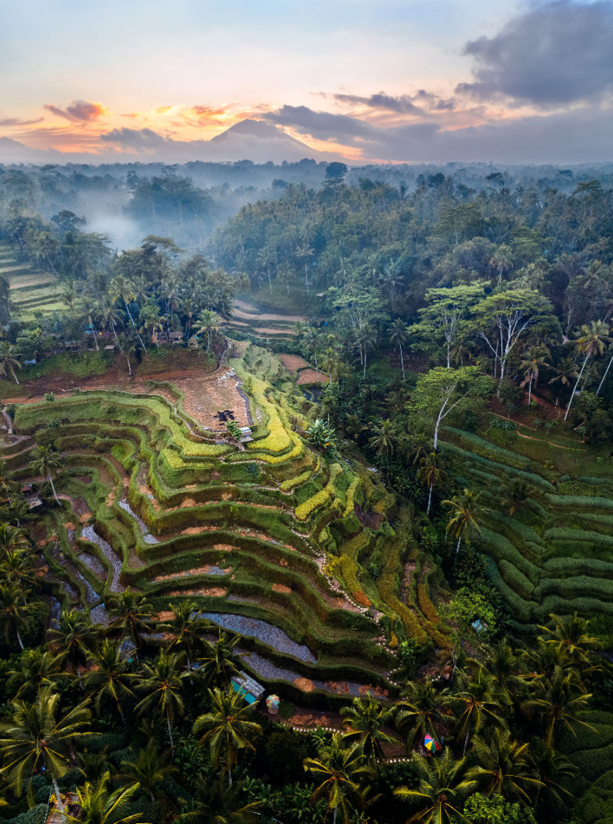 Ubud - Bali