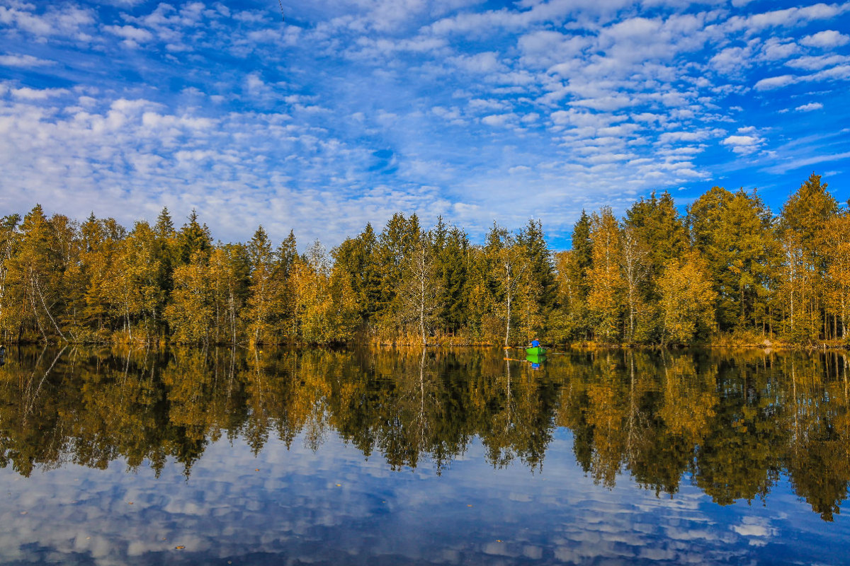 Uferlandschaft Moorteich mit Fischerboot - Pfrunger-Burgweiler Ried