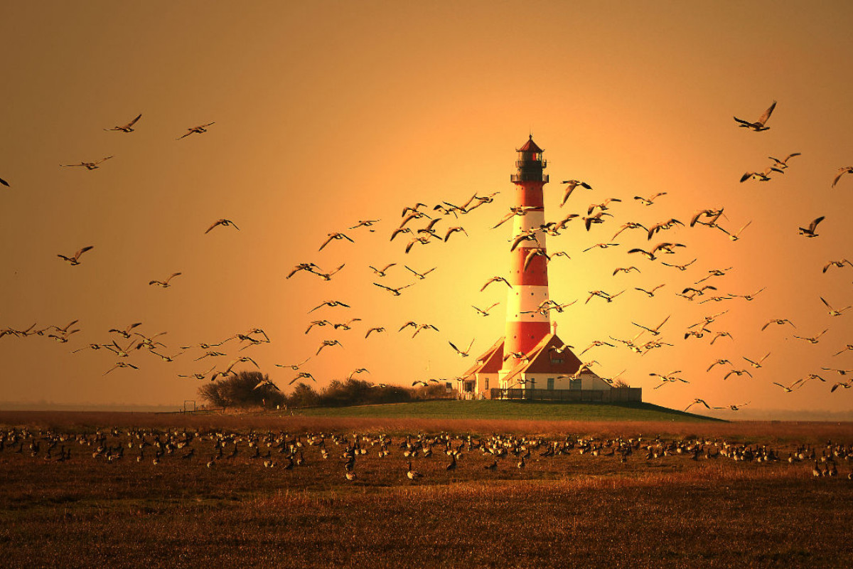 Leuchtturm Westerhever