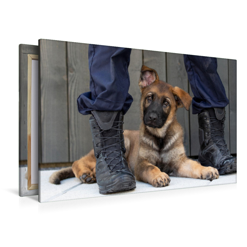 Ein Motiv aus dem Kalender Little Police Dogs